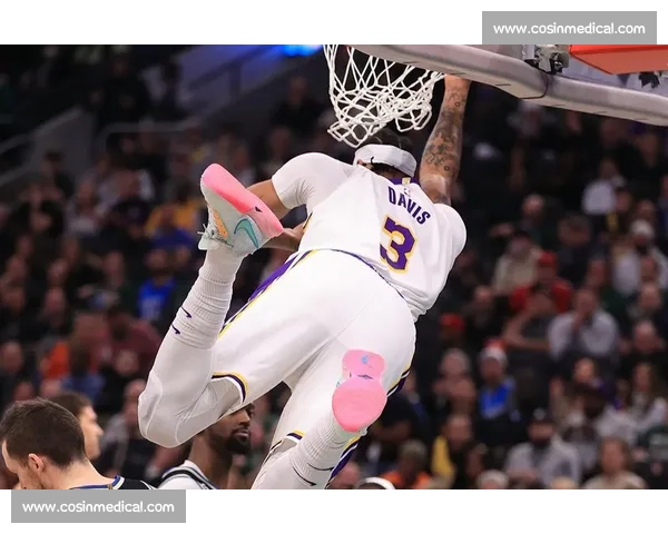 湖人热火G2戴维斯统治攻防引领系列赛走向关键之战胜负悬念聚焦