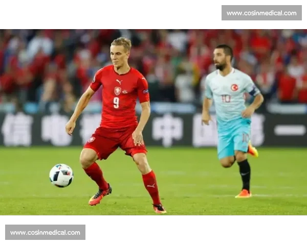 保加利亚vs瑞典激战欧洲赛场焦点前瞻与实力对比分析全解读看点