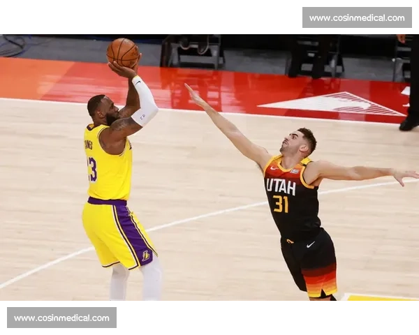 湖人对阵山猫强强对话老牌豪门与新锐力量的正面对决赛场风云再起引爆关注